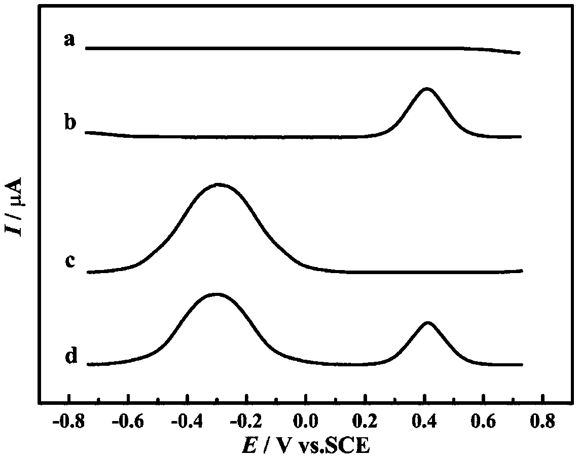 lncRNA MEG3 dual detecting electrochemical gene sensor, preparation method and application thereof