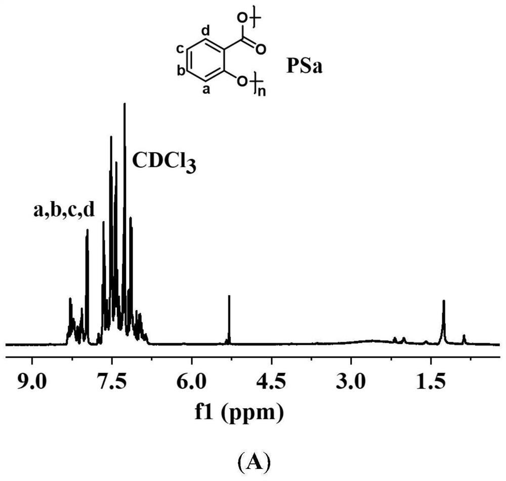 Bioactive antioxidant polysalicylic acid hydrogel as well as preparation method and application thereof