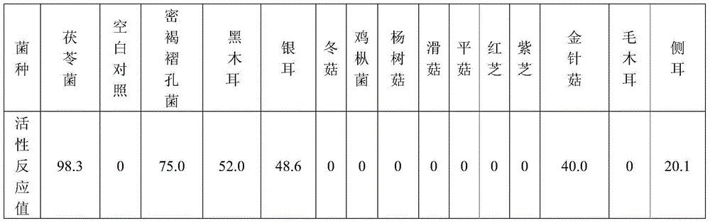 Application of wolfiporia cocos bacterial culture in termite trap-killing, and termite trap-killing bait