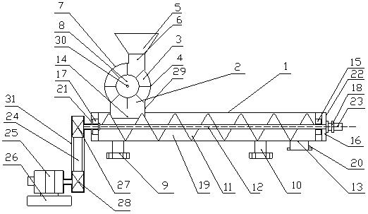 Spiral quantitative feeding device and stable feeding method