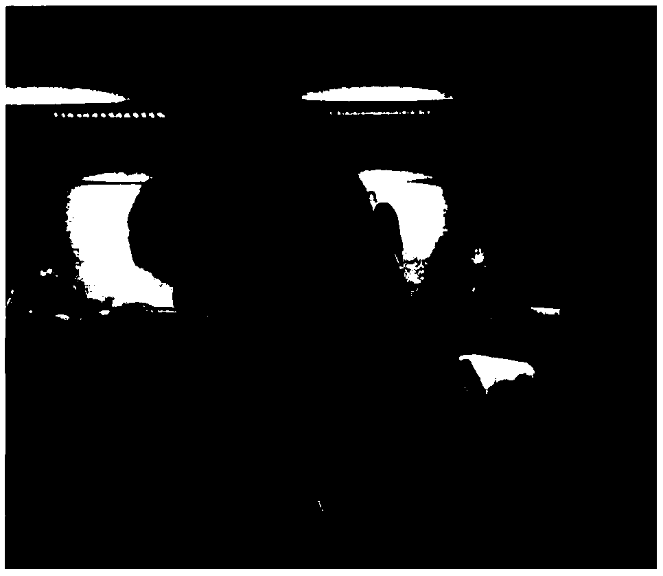 A face multi-area fusion expression recognition method based on depth learning