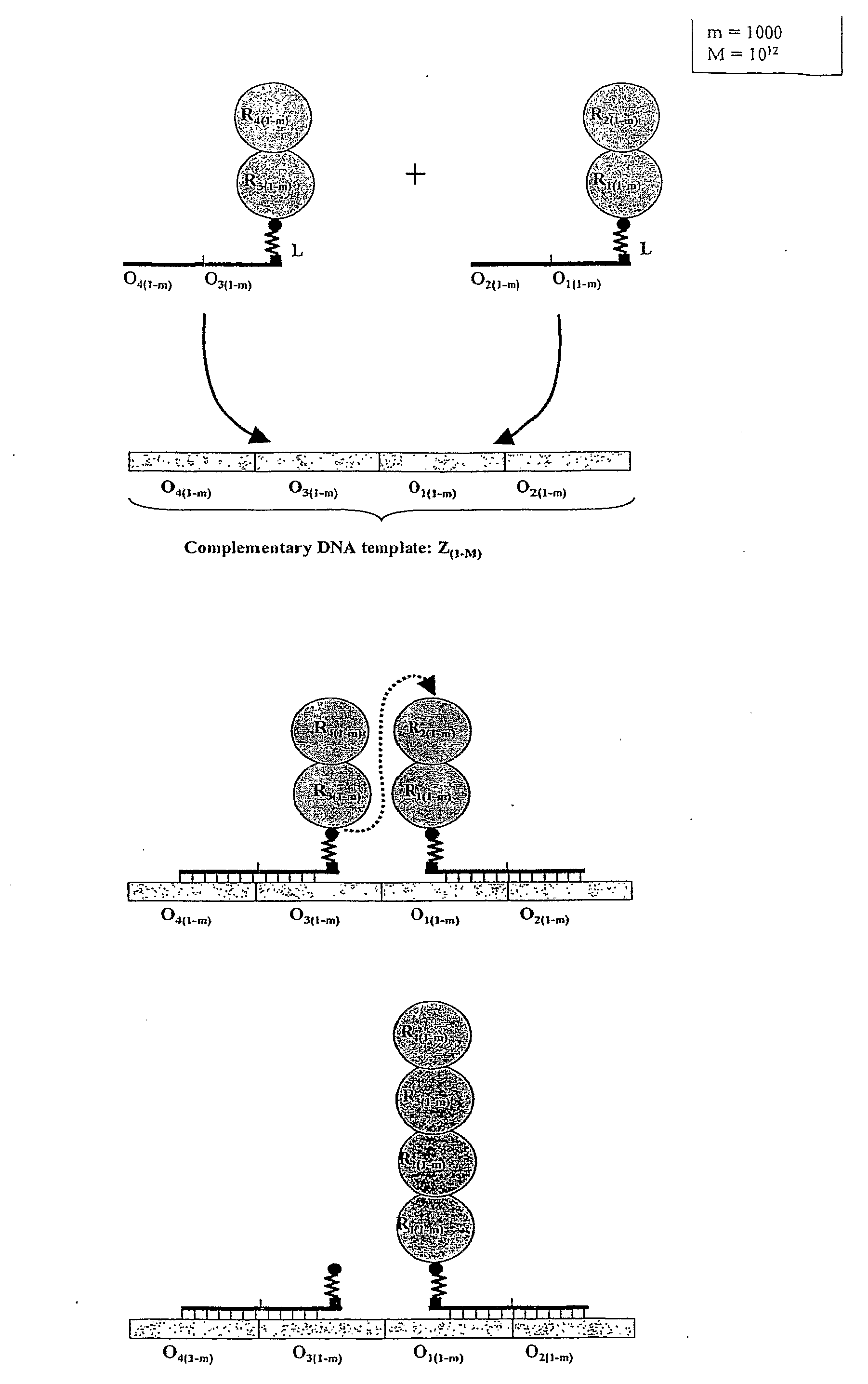 Template directed split and mix systhesis of small molecule libraries