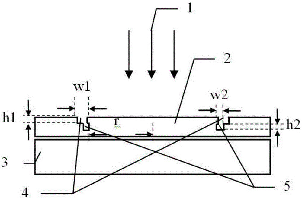 Manufacturing method of surface plasma lens