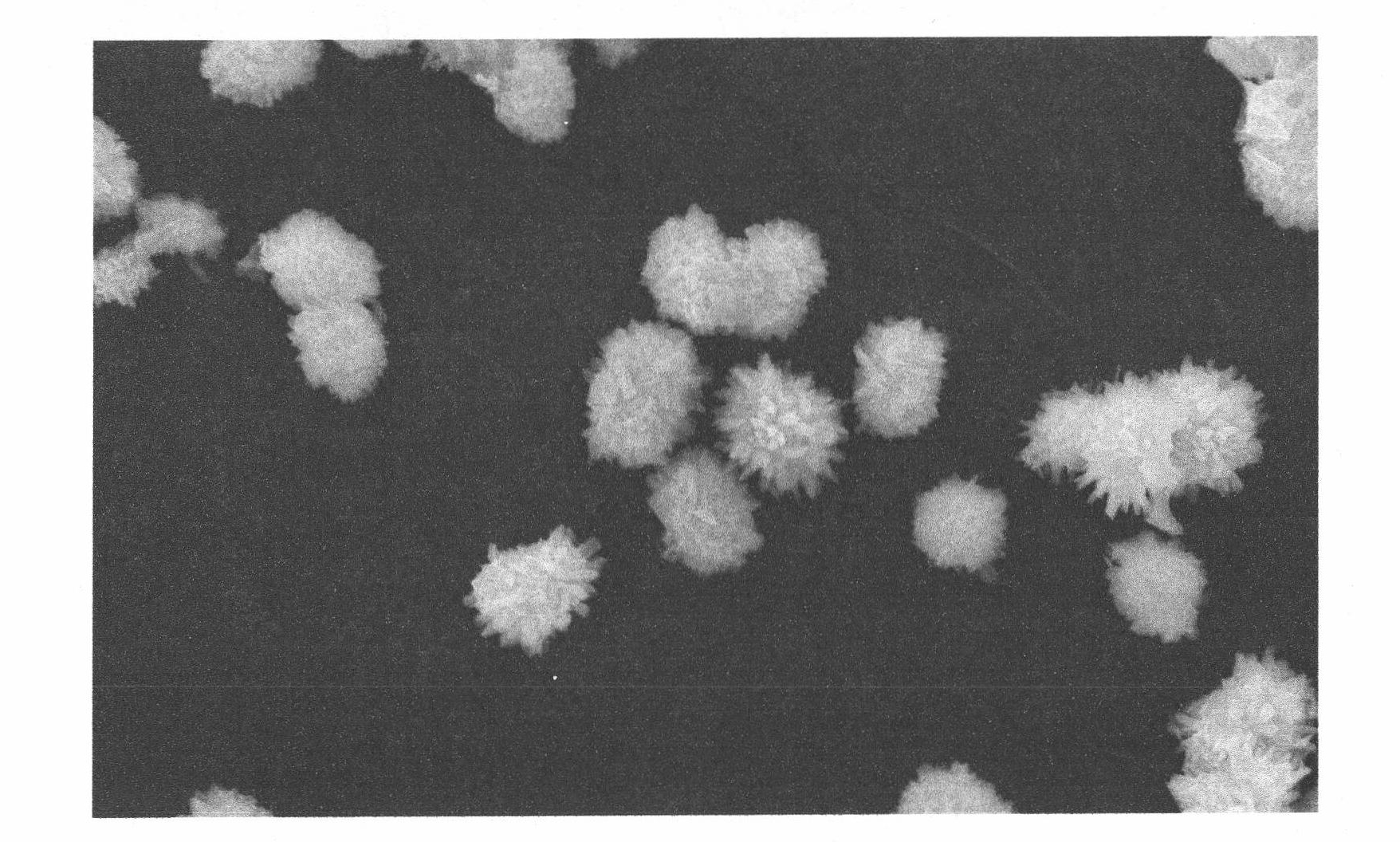 Preparation method of red fluorescent powder for LED (light-emitting diode)