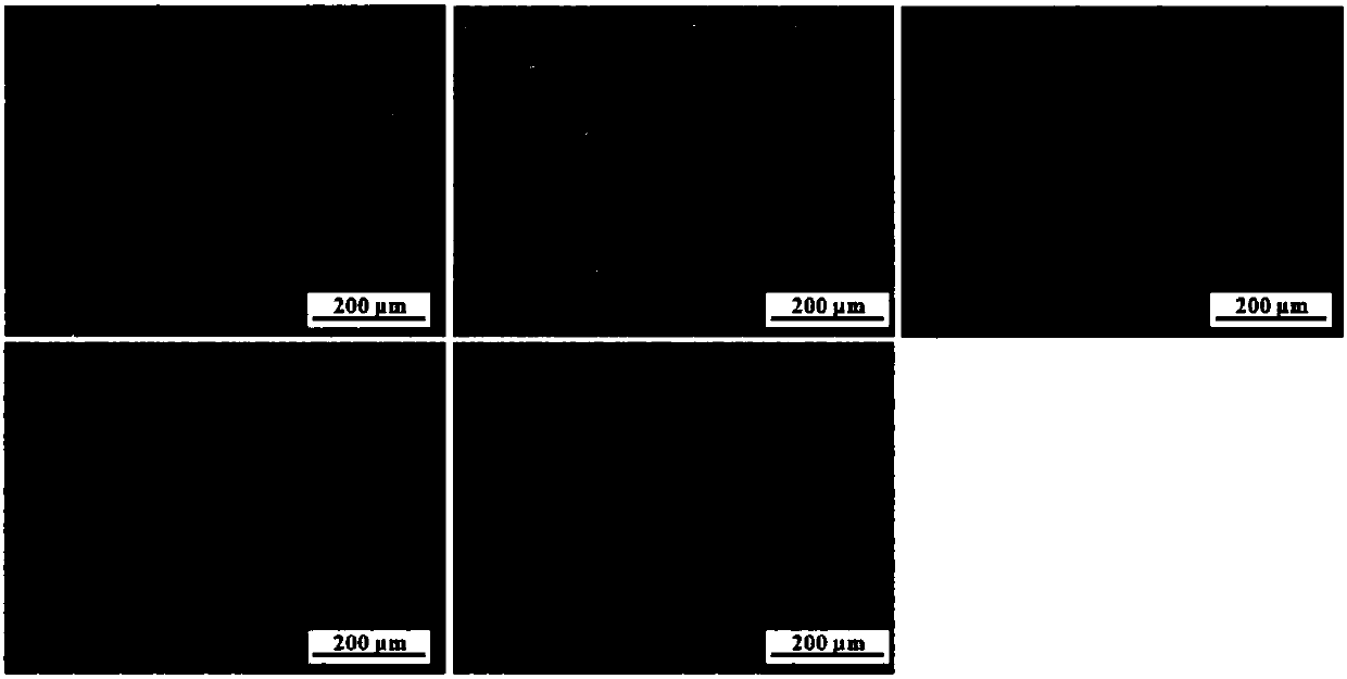 Method for preparing taro tuber ethanol extract and anti-oxidation application of taro tuber ethanol extract