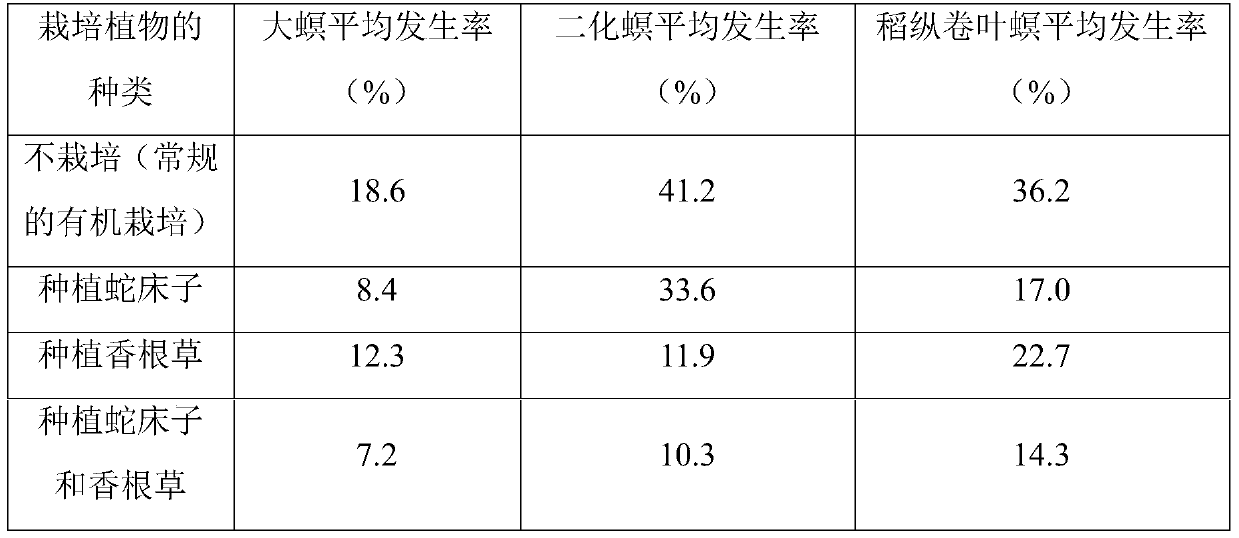 Organic rice planting method