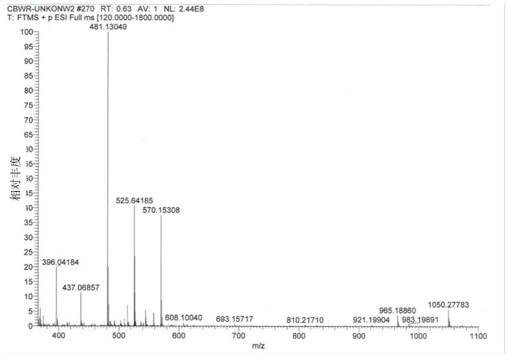 Cefepime arginine polymer as well as preparation method and application thereof