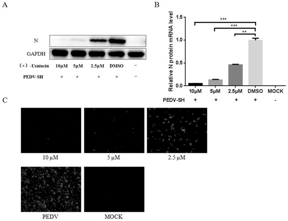 Application of usnic acid in preparation of medicine for preventing and treating porcine epidemic diarrhea