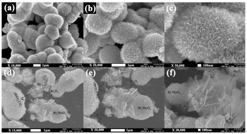 Bismuth oxide/bismuthyl carbonate/bismuth molybdate composite photocatalytic material and preparation method thereof