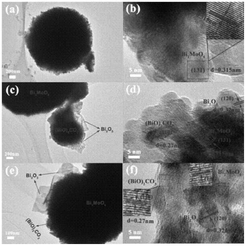 Bismuth oxide/bismuthyl carbonate/bismuth molybdate composite photocatalytic material and preparation method thereof