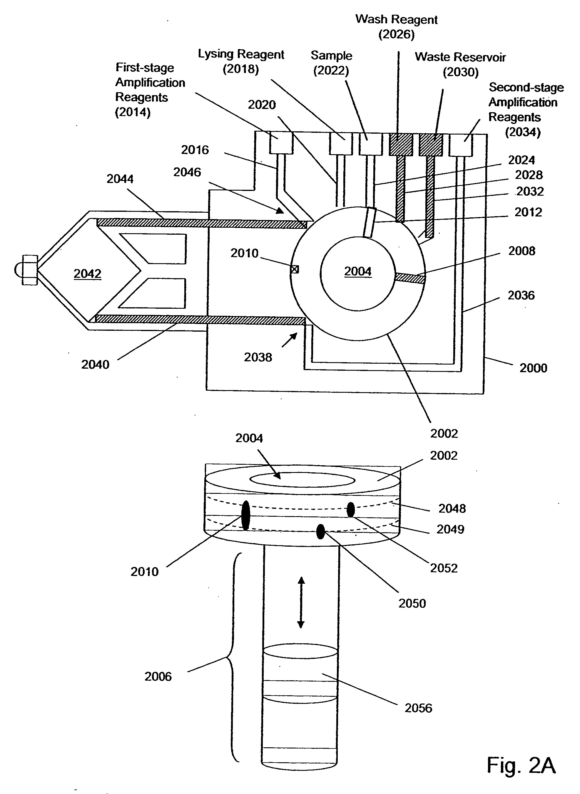 Closed-system multi-stage nucleic acid amplification reactions