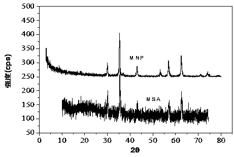 Method for preparing composite magnetic catalyst of magnetic solid sulfonic acid loaded amine catalyst and application thereof