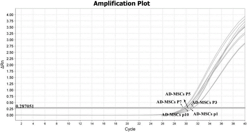 Primer and method for detecting Nanog gene expression quantity during mesenchymal stem cell passage