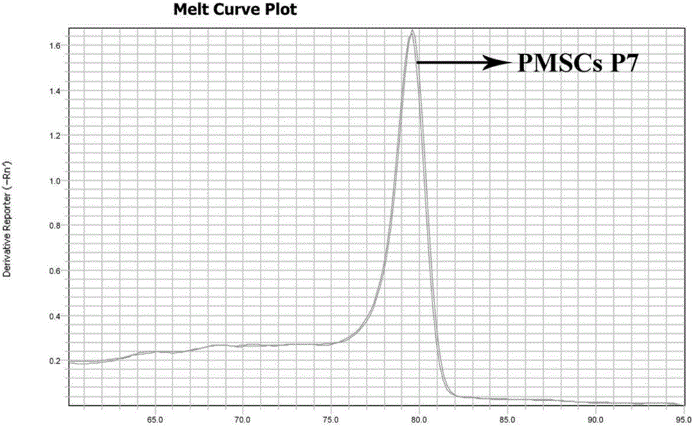 Primer and method for detecting Nanog gene expression quantity during mesenchymal stem cell passage