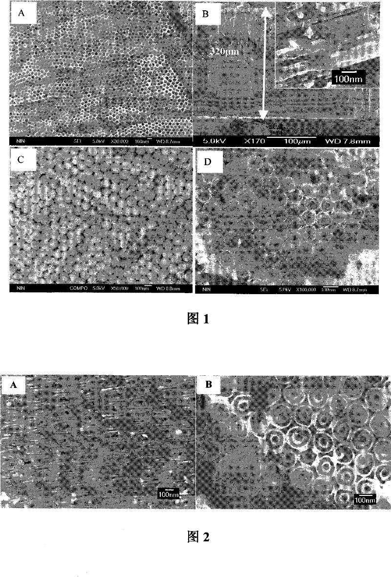 Coaxial double-pipe titanium dioxide nano-pipe array thin film and preparation method thereof