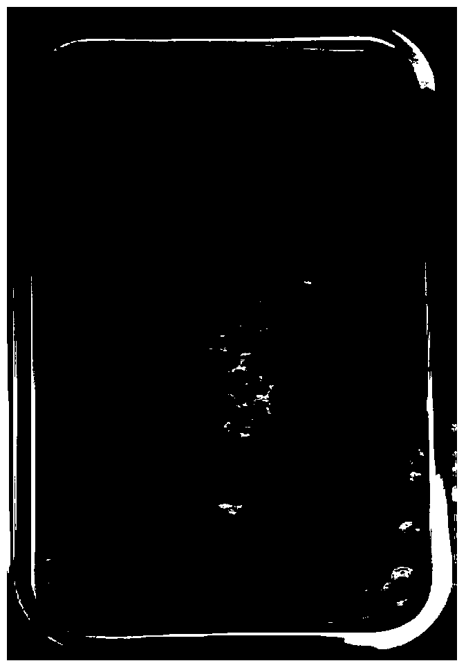 High molecular thin film dust suppressant in netty structure and preparation method thereof