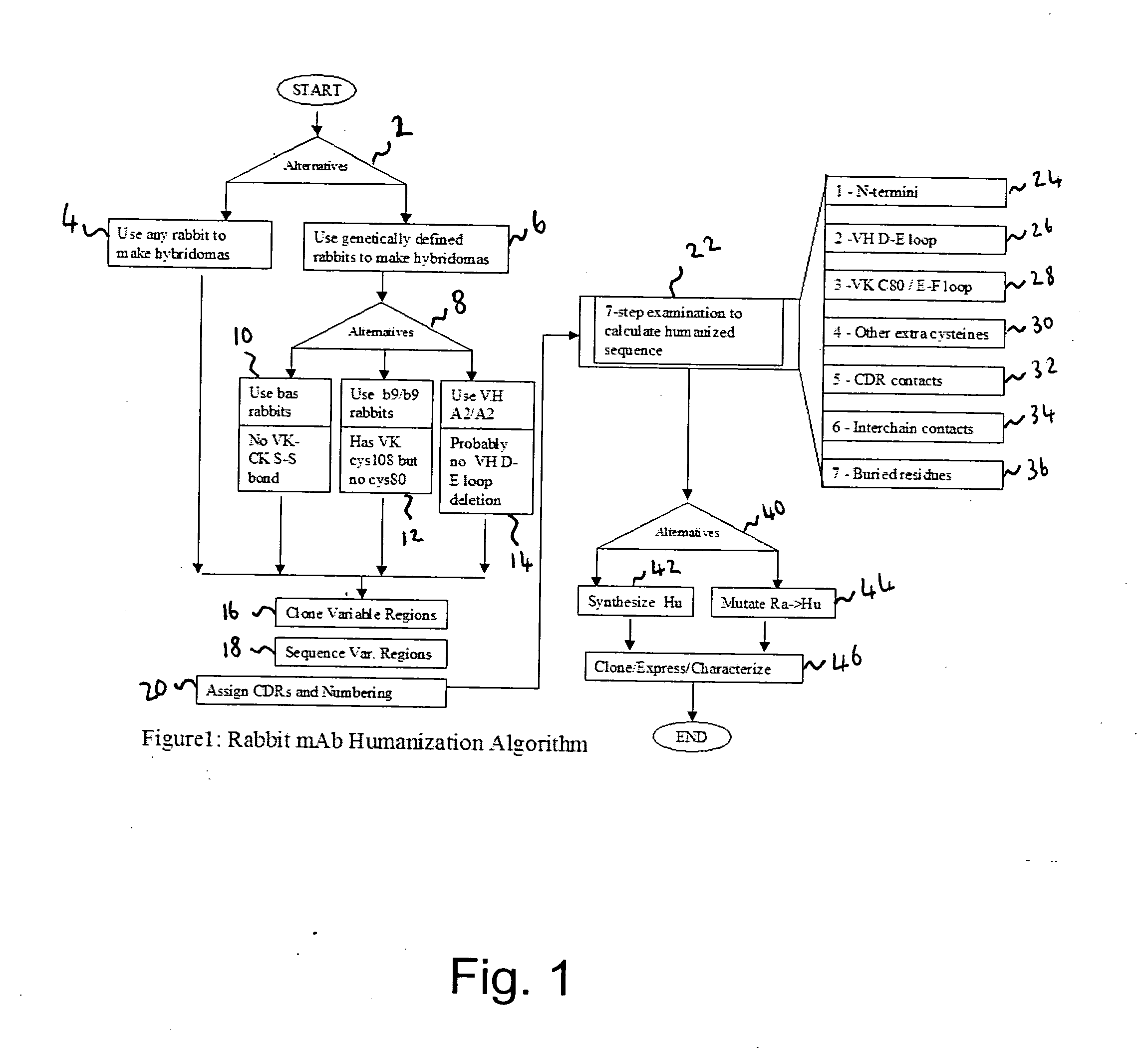 Methods for humanizing rabbit monoclonal antibodies