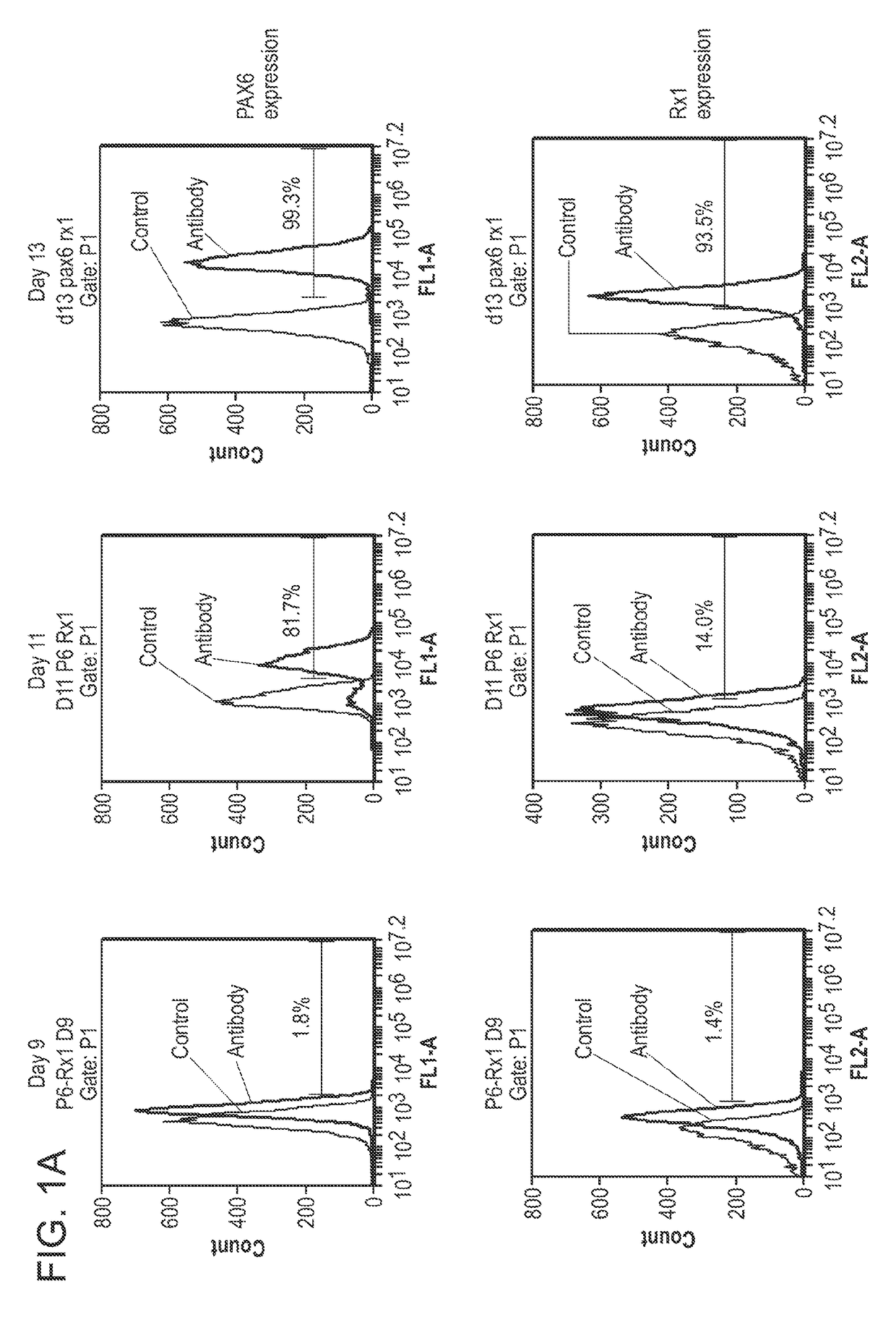 Retinal ganglion cells and progenitors thereof