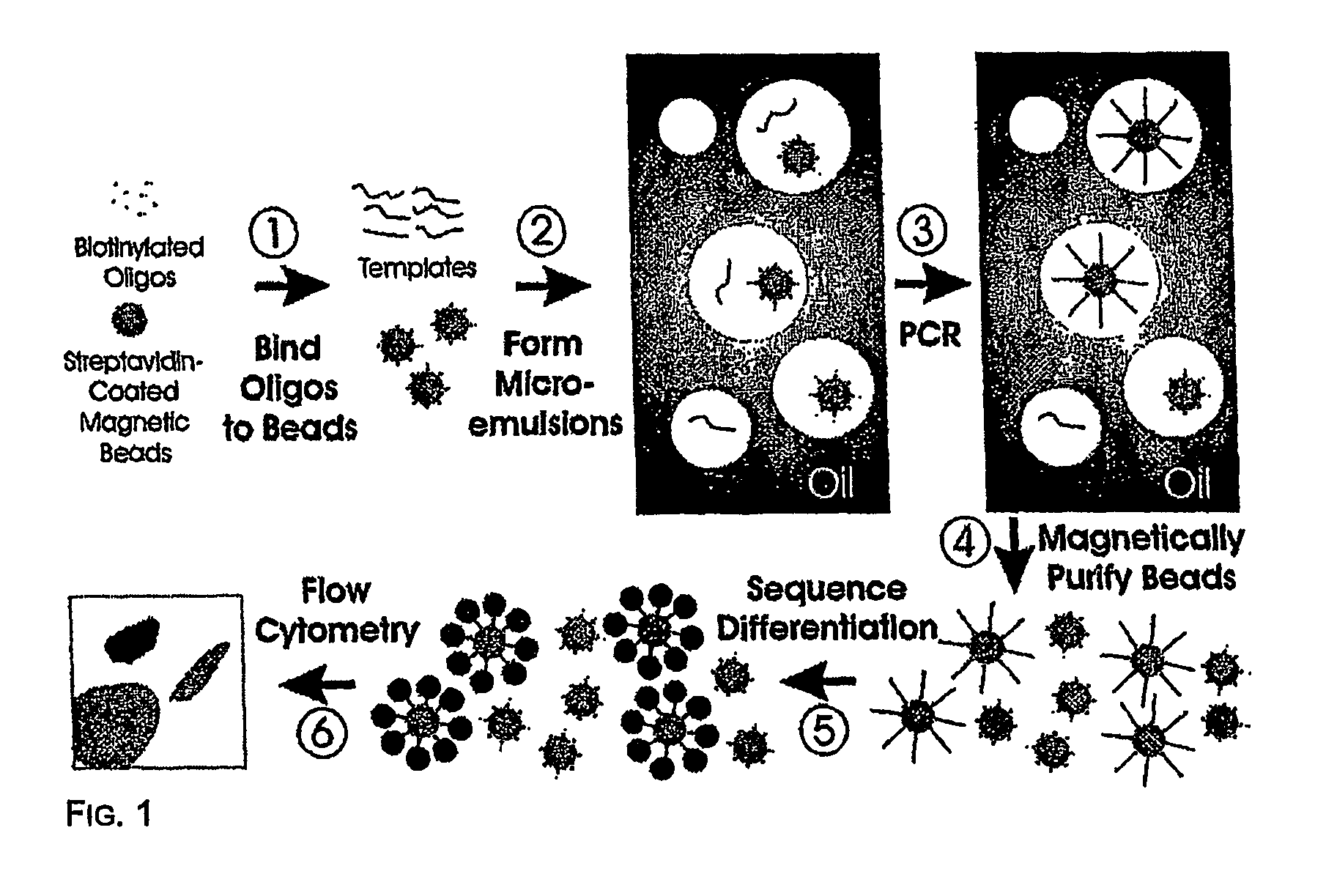 Method and compositions for detection and enumeration of genetic variations