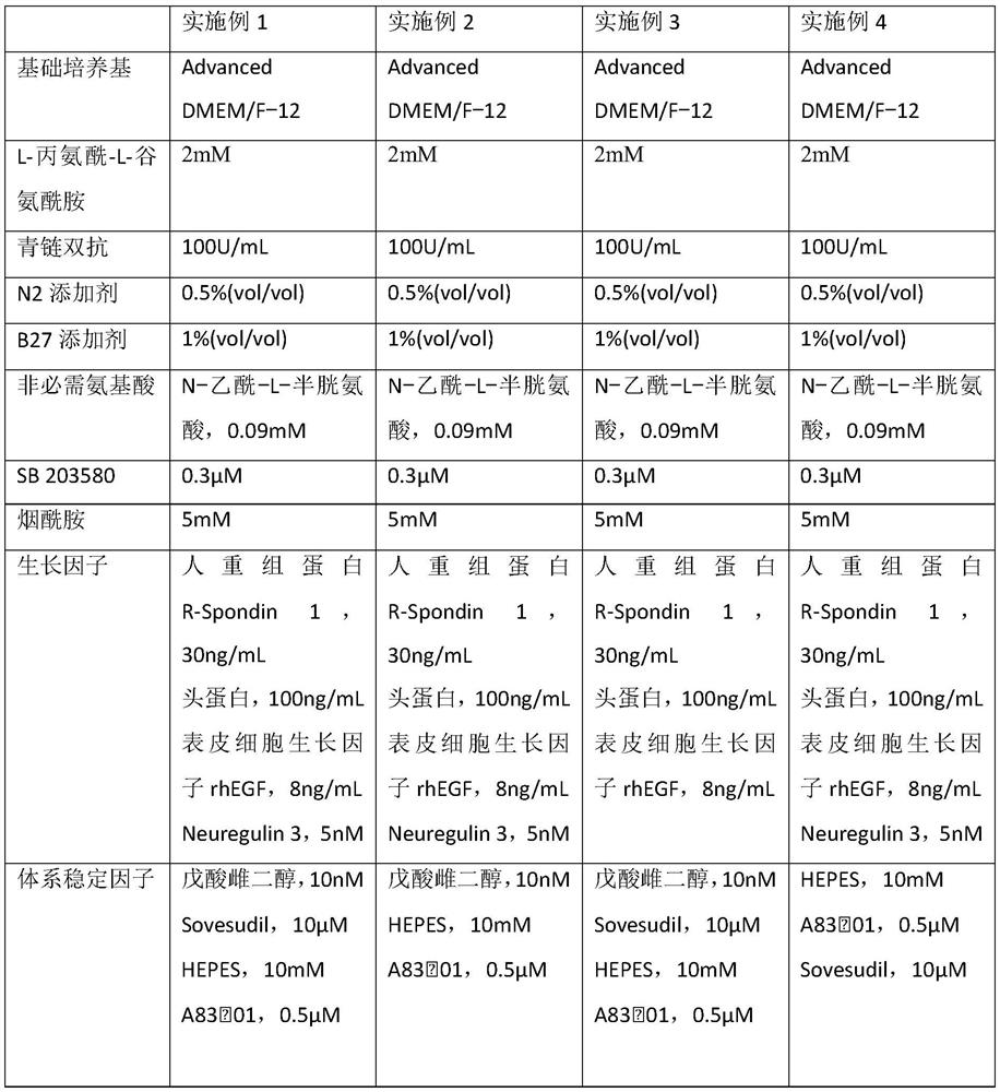 Breast cancer organoid culture solution, preparation method and culture method