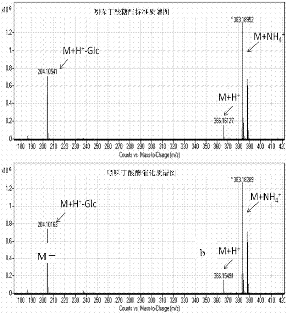 Application of Arabidopsis thaliana glycosyltransferase UGT75D1 in catalytic synthesis of auxin sugar ester