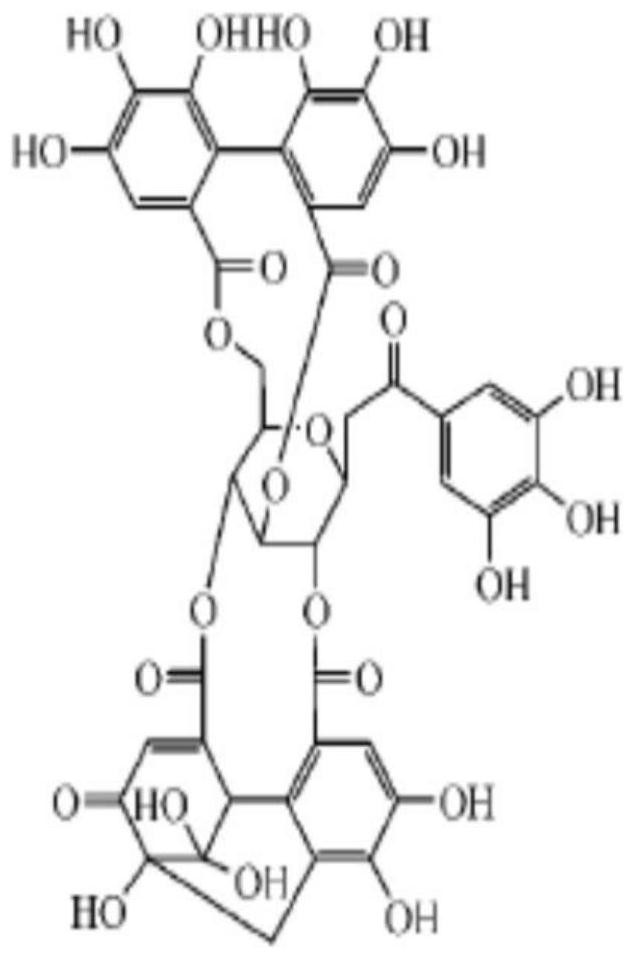 Application of geraniin in preparation of stent coating medicine