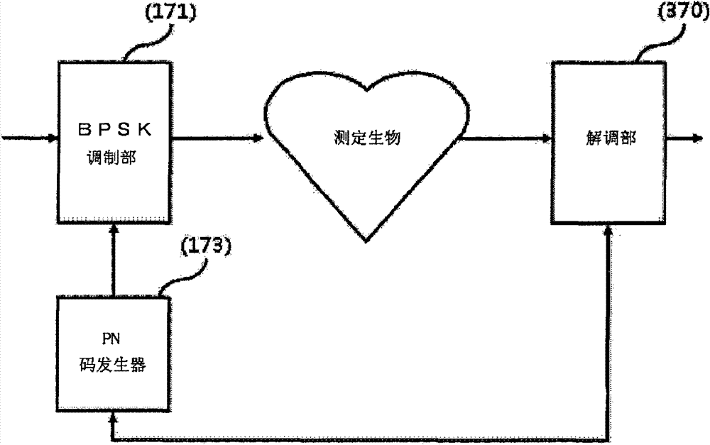 Apparatus and method for measuring bio-impedance