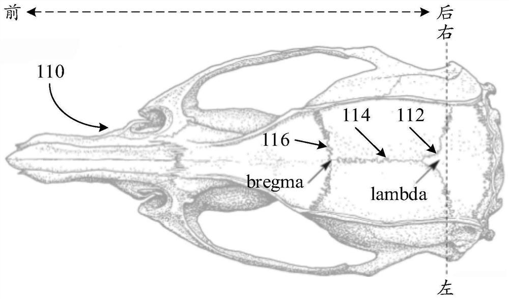 Brain slice mold manufacturing method, device, electronic equipment and storage medium