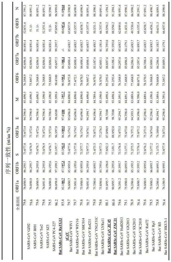 Application of whey protein as broad-spectrum inhibitor of coronaviruses