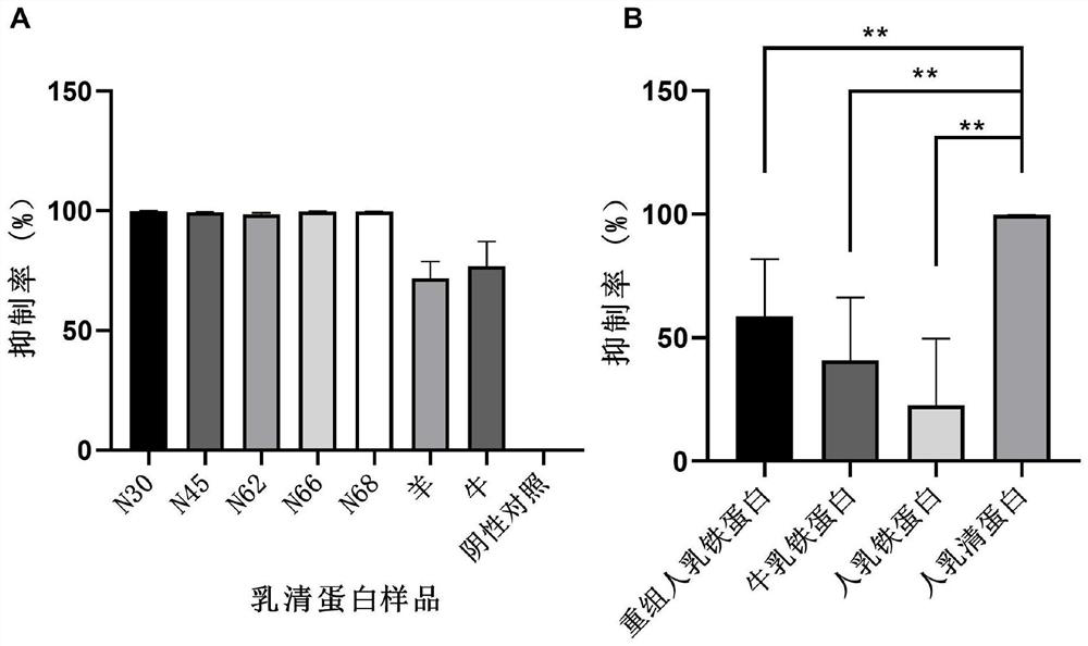 Application of whey protein as broad-spectrum inhibitor of coronaviruses