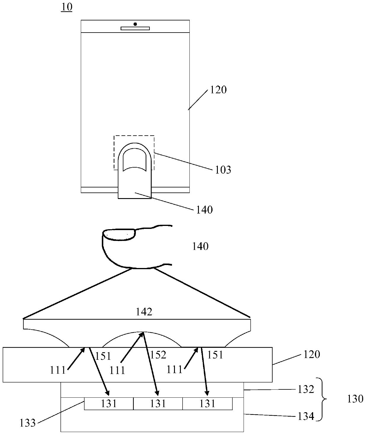 Fingerprint identification device and electronic equipment