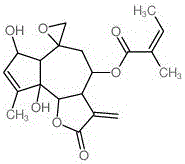 Pharmaceutical composition for preventing and treating senile osteoporosis