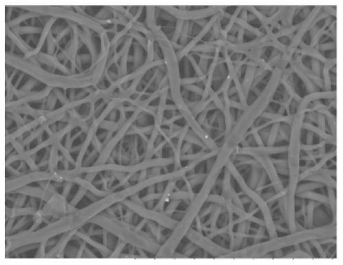 Elastic conductor composite film and preparation method thereof