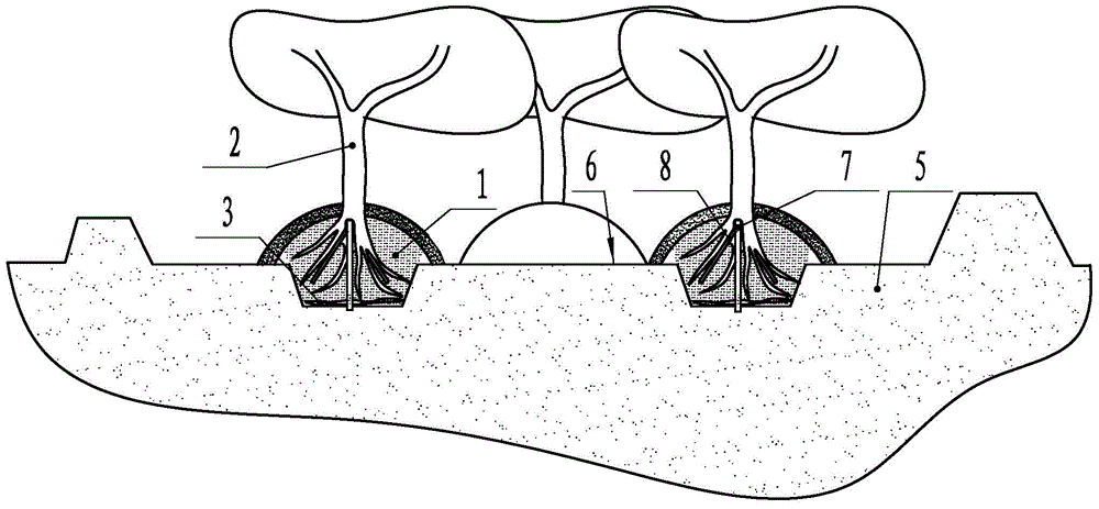 Method for forest planting by accumulating wastes in mounds