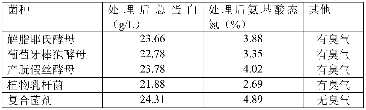 Complex microbial agent, and application of complex microbial agent to kitchen waste fermentation for preparation of organic liquid fertilizer