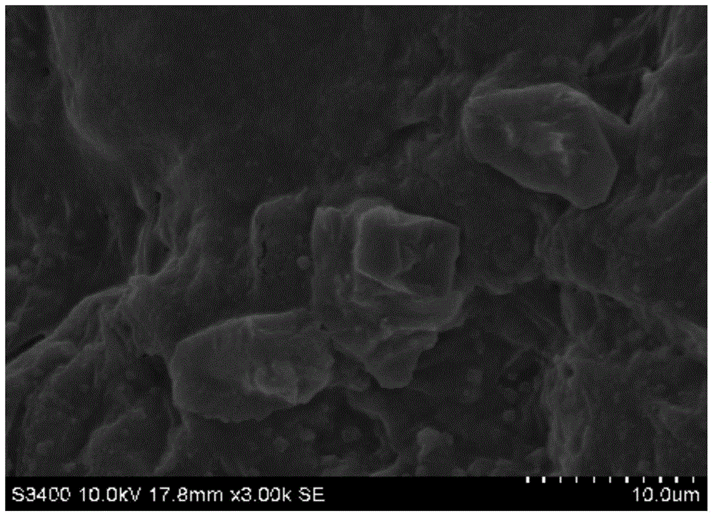 A hot-air-microwave combined processing method for bamboo shoot particles