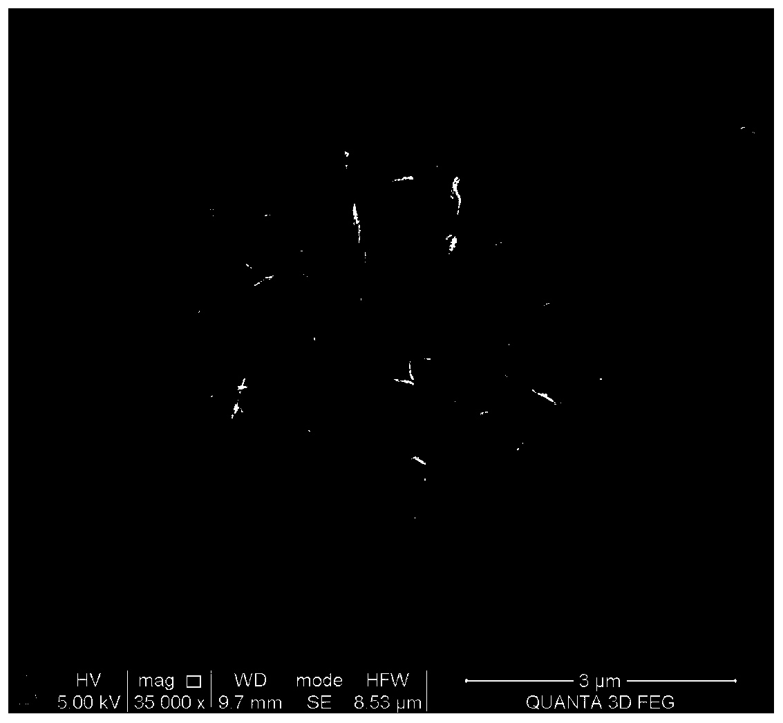 A kind of bacterial cellulose flexible composite piezoelectric film and preparation method thereof