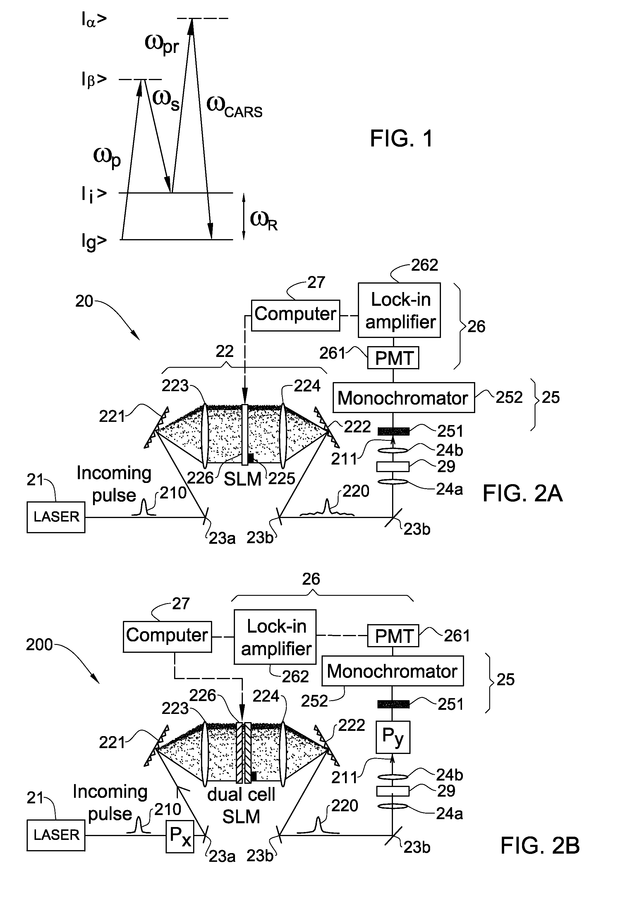 Coherently controlled nonlinear raman spectroscopy and microscopy