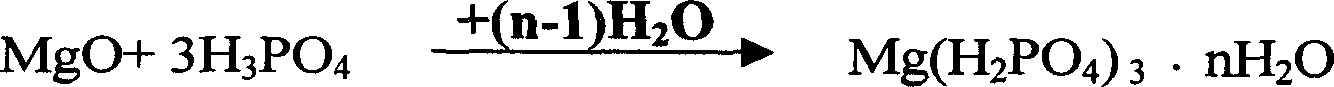 Magnesium metaphosphorate production process