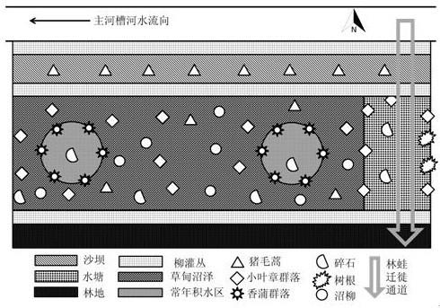 A method for restoring the degraded habitat of amphibians in abandoned sand fields in cold regions