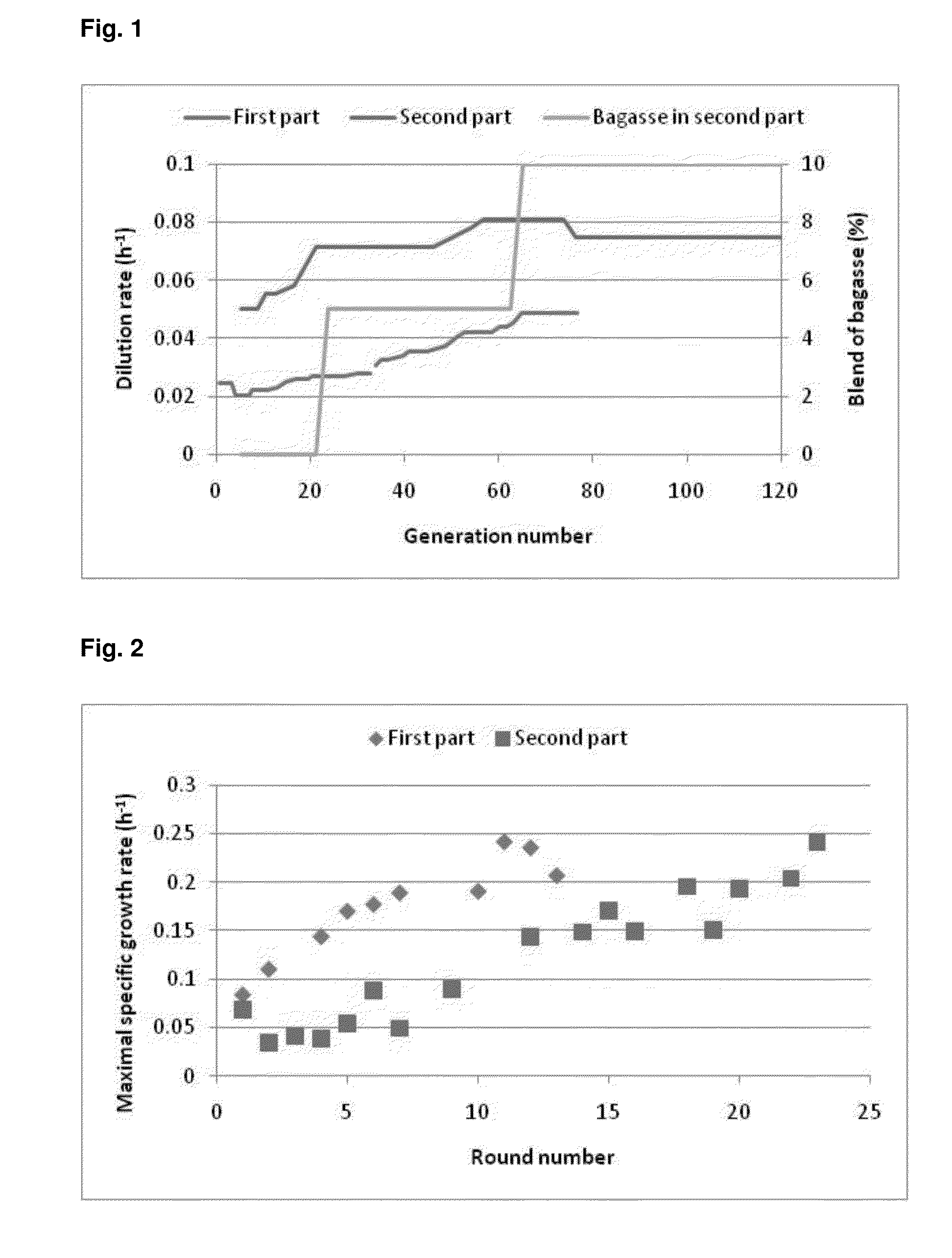 Strains of saccharomyces cerevisiae