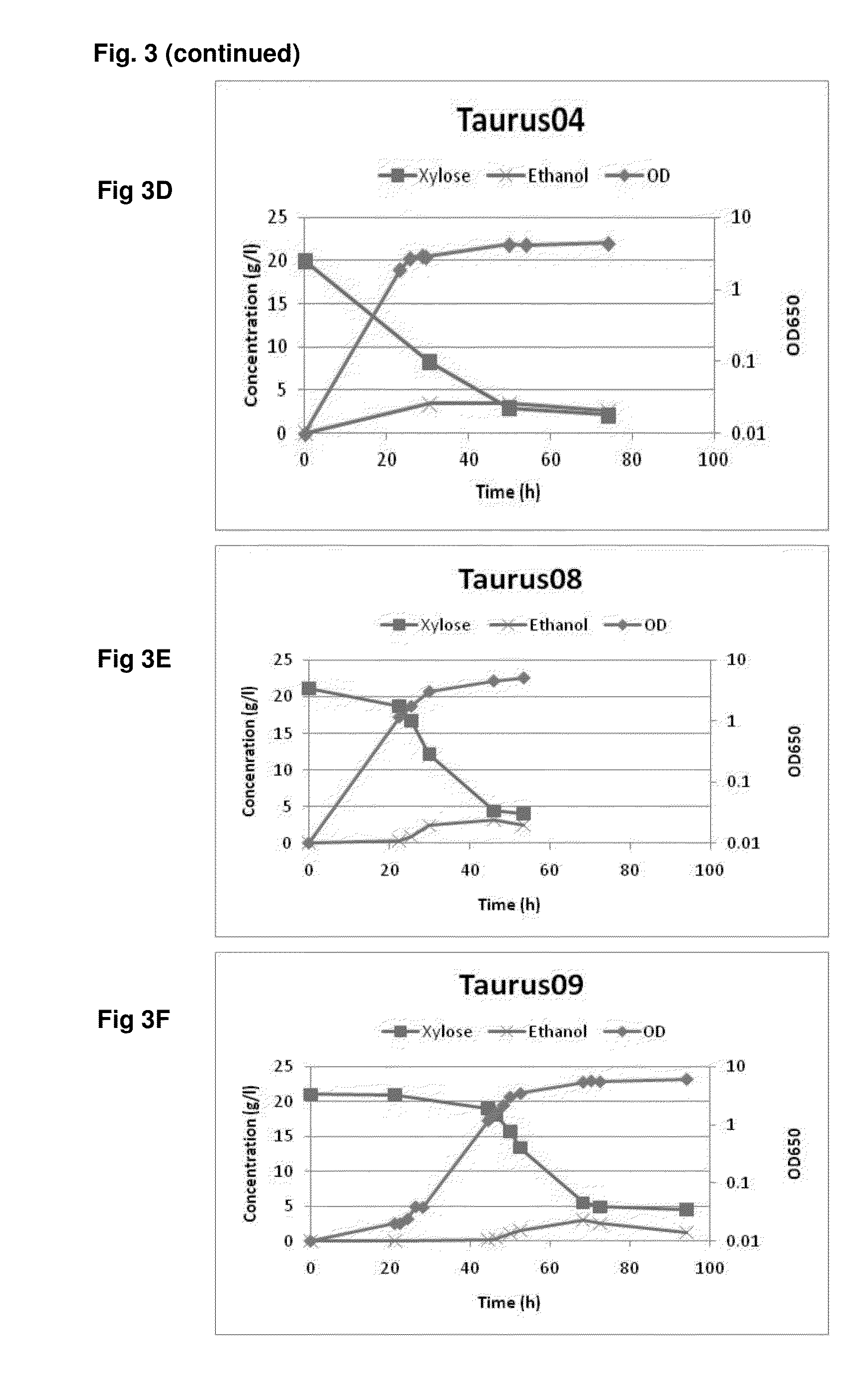 Strains of saccharomyces cerevisiae