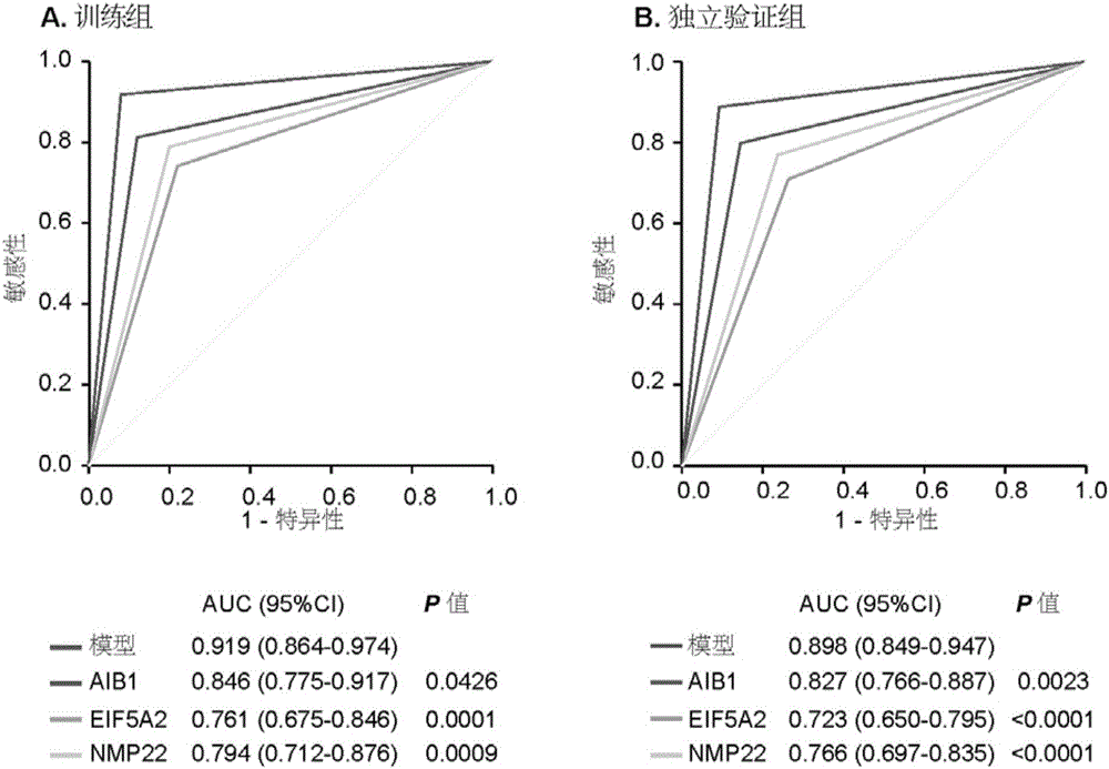 Molecular markers for non-invasive diagnosis of bladder cancer