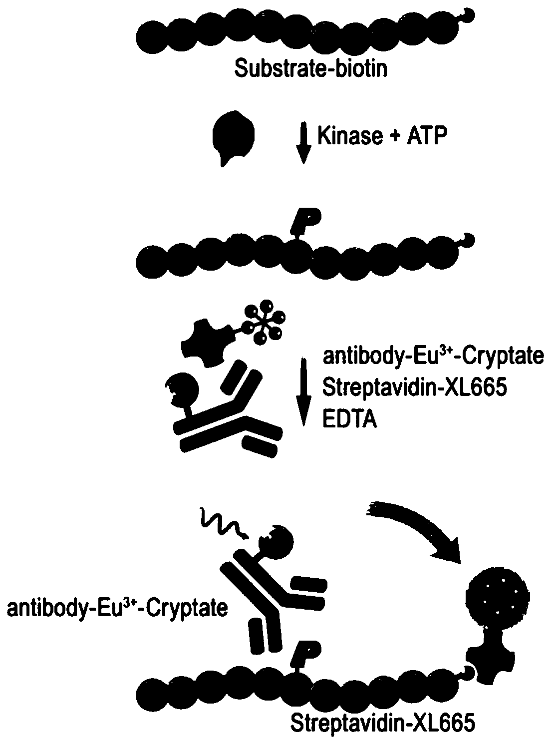 Method for screening kinase inhibitor by utilizing HTRF one-step method