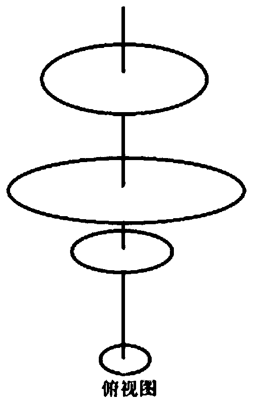 Culture method of leaf and flower dual-purpose tea tree crown