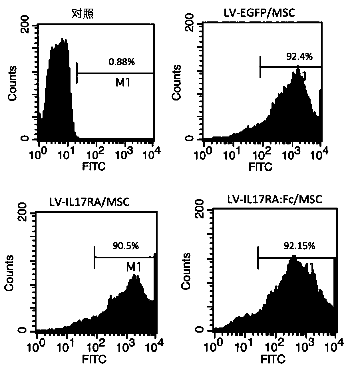 Mesenchymal stem cell for treating autoimmune diseases and preparation method and application of mesenchymal stem cell