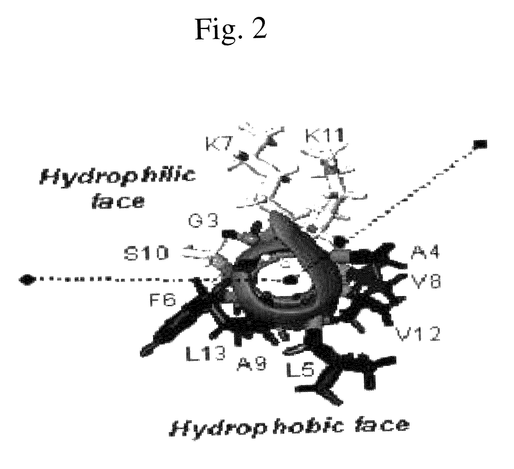 Analogues of antimicrobial and anticancer peptide synthesized and produced from Gaegurin 5