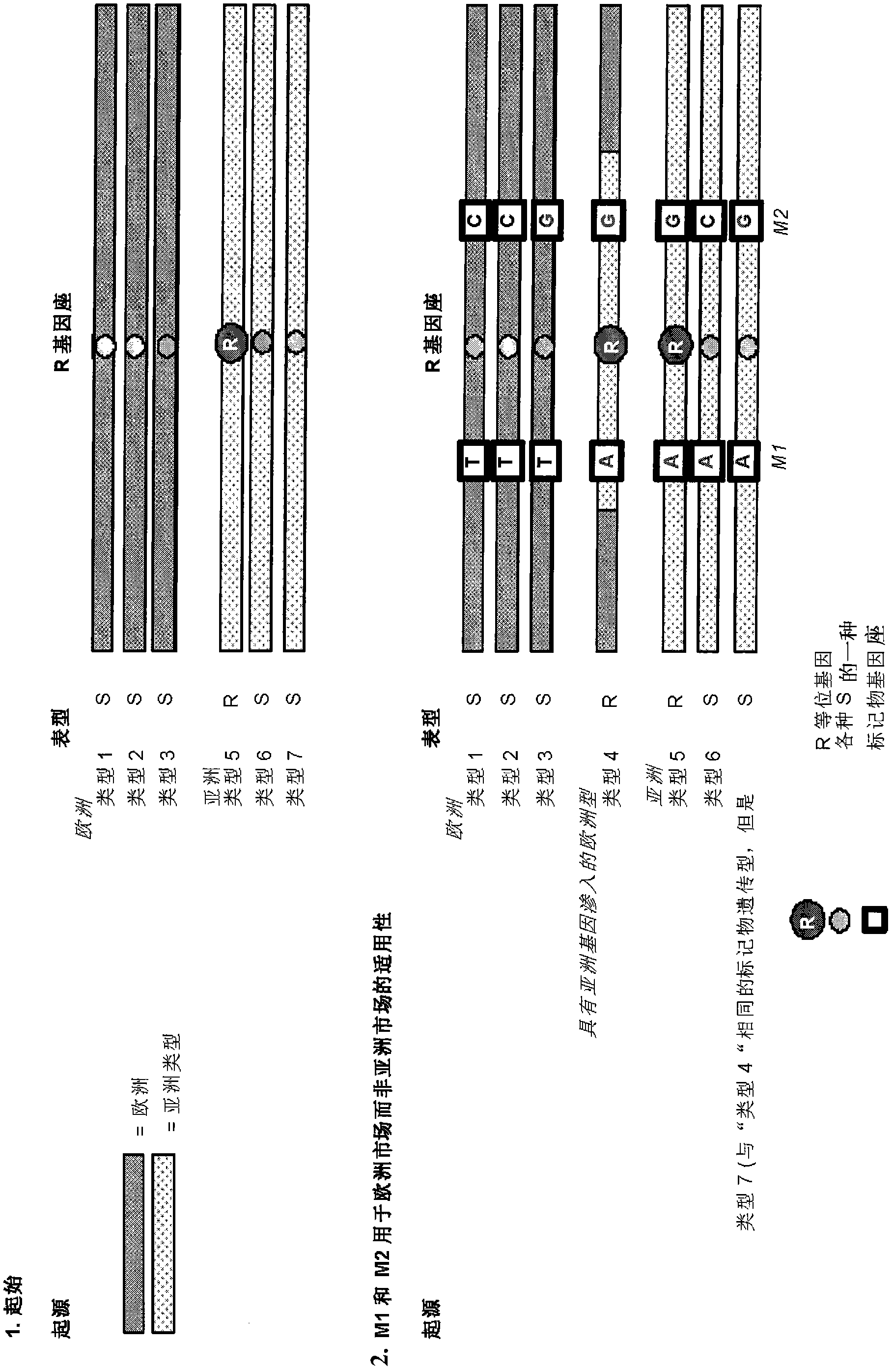 Method for diagnostic marker development