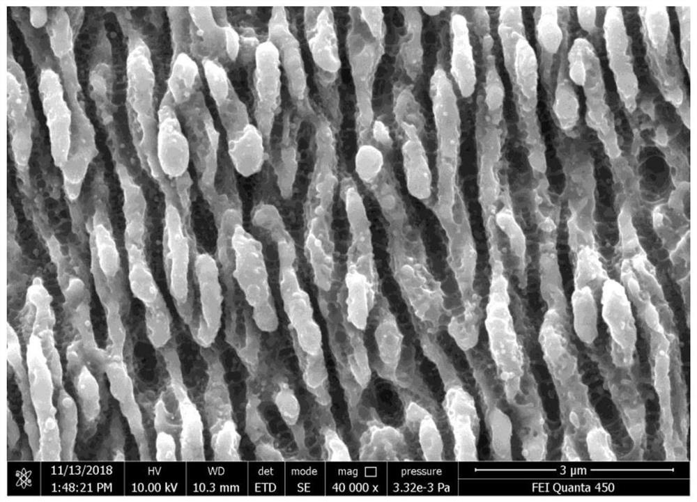 Ultrafast laser preparation method facing bacteriostatic surfaces of public goods