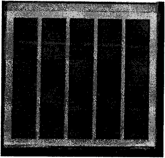 Method for preparing dye-sensitized solar cell module